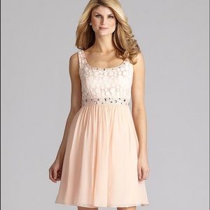 Antonio Melani Blush Splenda Lace Chiffon Dress 12